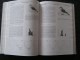 Delcampe - ATLAS OF THE BIRDS OF HUESCA Spanish Pyrénées Espagne Spain Espana Oiseau Bird Aves Ornithologie Ornithologue - Wildlife