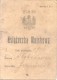 PASAPORTE POLACO 1904 - POLISH PASSPORT PASSEPORT PASSAPORTO - Documentos Históricos