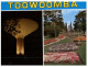 (415) Australia - QLD - Toowoomba Picnic Point Park & Water Tower - Towoomba / Darling Downs