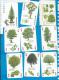 Playcards   Spielkarten    Trees   Baeume - 54 Karten