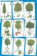 Playcards   Spielkarten    Trees   Baeume - 54 Karten