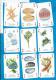 Playcards   Spielkarten    Sealife   Seeleben - 54 Cartes