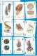 Delcampe - Playcards   Spielkarten    Sealife   Seeleben - 54 Kaarten