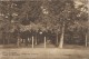 Camp De  Béverloo  -   Allée Des Soupirs.    1924  Naar  Assebroek  Bij  Brugge - Beringen