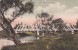 Australia Used Postcard, Union Bridge, Albury - World