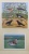 Birds Stamps (12 Valúes + 2S/S ) - Turkménistan