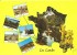 40. CPM. Landes. Lot De 2 Cartes (Surf, Forêt, Plage, Multi-vues, Dax, Capbreton, Biscarosse, Hossegor, Mimizan-Plage) - Autres & Non Classés