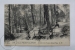 Old France Postcard - Bois De Meudon - Clamart - Arrivee De La Fontaine Sainte Marie - Animé - Otros & Sin Clasificación