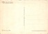 02904 "ERITREA - FESTA DEL MASCHEL - DAMERAN"  ANIMATA, USI E COSTUMI.  1936 CART. NON SPED. - Erythrée