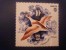 1975 Russia USSR  Fishes - Neufs