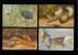 Beau Lot De 20 Cartes Postales De Fantaisie Volaille Poule Coq Dinde  Mooi Lot Van 20 Postkaarten Fantasie Gevogelte Hen - 5 - 99 Postales