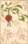 257705-Christmas, PFB No 6156-5, Mistletoe With Berries, Embossed Litho - Autres & Non Classés