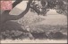 Monaco 1916 Y&T 23 Albert Ier 10 C Sur Carte Postale, Oblitéré Par Cachet Français, Ambulant Nice à Vintimille - Covers & Documents