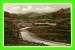 WIGT, SCOTLAND - MOUNTAIN & MOORLAND, THE TROSSACHS-ABERROYLE ROAD - REAL PHOTOGRAPH - - Wigtownshire