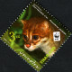 Thailand 2011 MiNr. 3117 - 3120 (Block 267) Animals WWF Cats Of PREY 4v+1 MNH** 5,00 € - Unused Stamps