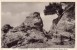 CPA   --  DPT 44  --  LA  BERNERIE  --  ROCHER  DU  LION  ET  FALAISE  A  ROCHE  GRISE.......... - La Bernerie-en-Retz