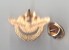 INSIGNE MINIATURE BREVET PILOTE ARMEE DE L' AIR, PIN' S - Fabricant PICHARD - Airforce