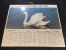 Calendrier Des Postes PTT 1977 Chatons Cygne - Grand Format : 1971-80