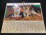Calendrier Des Postes PTT 1977 Chatons Cygne - Grand Format : 1971-80