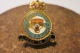 BADGE " 74 SQUADRON TIGER - ROYAL AIR FORCE " - United Kingdom