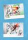 LIECHTENSTEIN--3 Cartes MAX-SPORTS-Série Timbres N°971/3 J O-HIVER  Albertville 1992 -SKIS - Maximumkarten (MC)