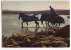 Travail De La Mer En Bretagne - Ramassage Du Goémon - Attelage Cheval - écrite Et Timbrée - 2 Scans - Bretagne