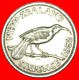 + BIRD: NEW ZEALAND&#9733; 6 PENCE 1952! UNCOMMON IN THIS CONDITION! LOW START &#9733; NO RESERVE!  George VI (1937 - Neuseeland