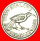 + BIRD: NEW ZEALAND&#9733; 6 PENCE 1952! UNCOMMON IN THIS CONDITION! LOW START &#9733; NO RESERVE!  George VI (1937 - Nouvelle-Zélande