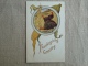 Thanhsgiving Greeting  Embossed Tukey And Corn Gold Border And Letters 1909 . Voir Photos. - Thanksgiving