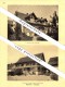 Photographien / Ansichten , 1927 , Wädenswil , Marthalen , Bez. Andelfingen , Prospekt , Architektur , Fotos !!! - Andelfingen