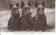 Chiens, Scottish Terrier, 1939, 2 Scans - Chiens