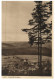 (DEL 626) Very Old Postcard - Carte Ancienne - Forest (2 Old Postcards) TREES - Arbres