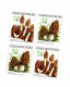 Mushrooms, Year 2000 - 2x2 Stamps (trapping), 2 Set (1 Set 4 Stamp),MNH - Neufs