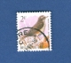 BELGIQUE OISEAUX 1996 N° 2646  GRIVE MAUVIS 2 F  OBLITÉRÉ - Moineaux