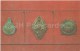 Bukhara And Khorezm People's Soviet Republics Awards - Medal - Frunze Museum - Bishkek - 1971 - Kyrgyzstan USSR - Unused - Kyrgyzstan