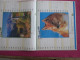 1998 CALENDRIER PTT DOUBLE FORMAT=>LA TONNELLE &RUELLE-ILLUSTRATEUR DANIEL LEBEAU Cartes De Grenoble Isére 38 & Autres. - Groot Formaat: 1991-00