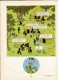 Hergé - Les Aventures De Tintin - Tintin Au Congo - Casterman - Hergé