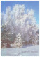 USSR, 1990. HAPPY NEW YEAR! WINTER FOREST. Unused Postal Stationery Stamped Card - Altri & Non Classificati