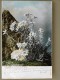 SUISSE / SCHWEIZ / SVIZZERA / SWITZERLAND // 1903 AK EDELWEISS, Farbig, BLUMEN - Fiori