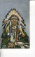 (PH 444) Very Old Postcard - Carte Ancienne - American Indian - Black Chicken - Amérique