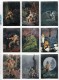 Delcampe - LOT OU SERIE INCOMPLETE DE 88/90 CARTES TRADING CARDS CHROMIUM CONAN DE 1995 EN PARFAIT ETAT (20 PHOTOS) - Autres & Non Classés