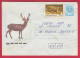 194755 / 1992 - 30+5 St., Animal Sika Deer Cerf Sika ( Cervus Nippon ) English Lop Domestic Rabbit , Stationery Bulgaria - Covers