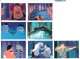 Delcampe - LOT OU SERIE INCOMPLETE DE 96/102 CARTES TRADING CARDS POCAHONTAS DE 1995 EN PARFAIT ETAT (24 PHOTOS) - Disney
