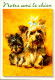 CHIEN / 10 CARTES POSTALES  / LOT  1395 / 35 - 5 - 99 Postales