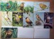 Birds. Set Of 18 Postcards 1975 - Birds