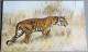 CPA TIGRE Illustrateur Savanne - Tiger