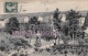 47 - SEYCHES - Le Chateau - Potager - 1909 - 2 Scans - Other & Unclassified