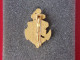 Insignes Militaire "23ème Bataillon D'Infanterie De Marine" -  Military Badges P.V. - - Marine