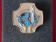 Insignes Militaire "P.M.I. - Pélerinage Militaire International"" -  Military Badges P.V. - - Marine