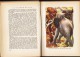 Delcampe - J.H. Rosny Ainé - La Guerre Du Feu - Bibliothèque Rouge Et Or  - ( 1953 ) . - Bibliotheque Rouge Et Or